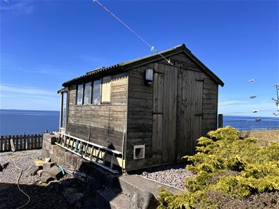 Picture 39